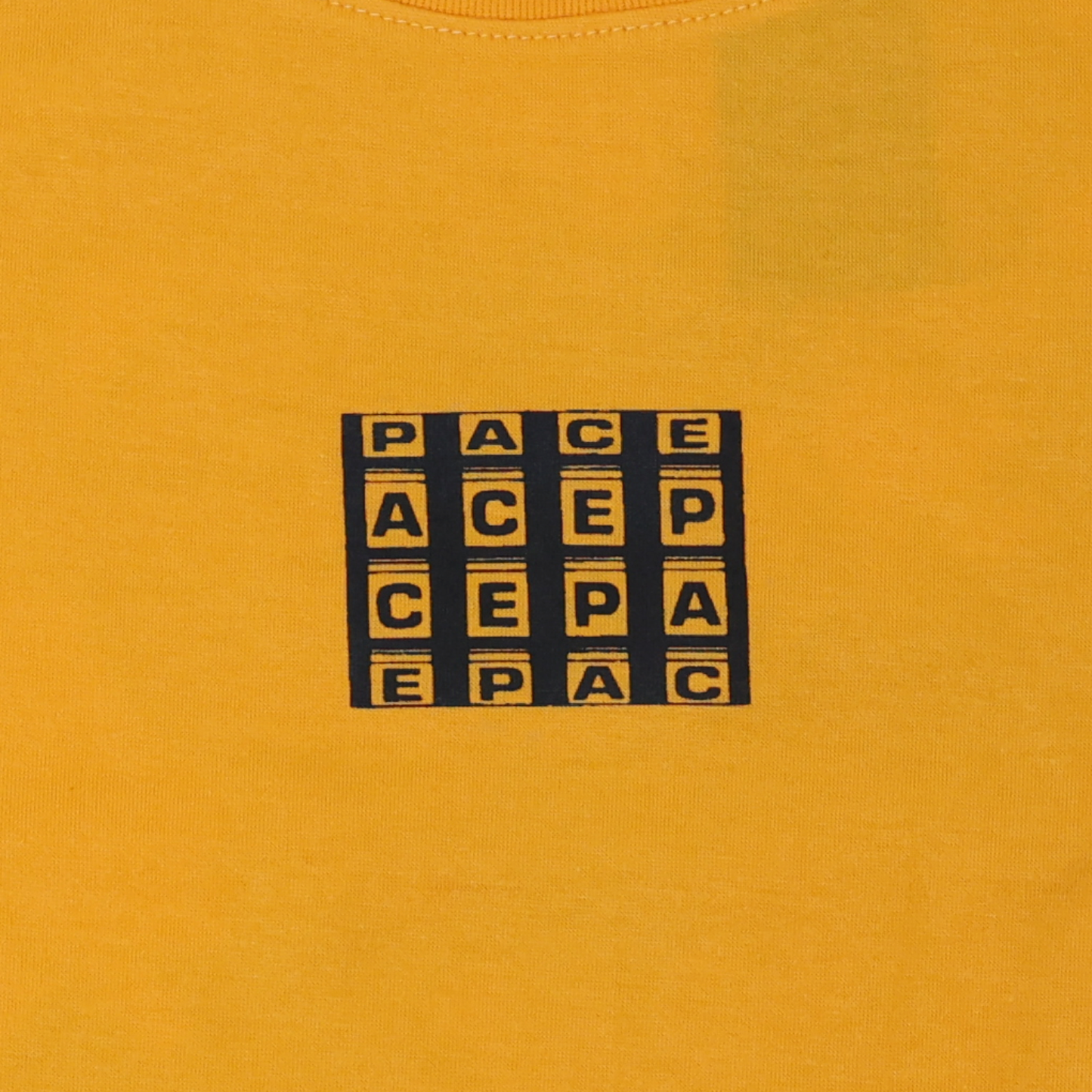 Pace Security Division